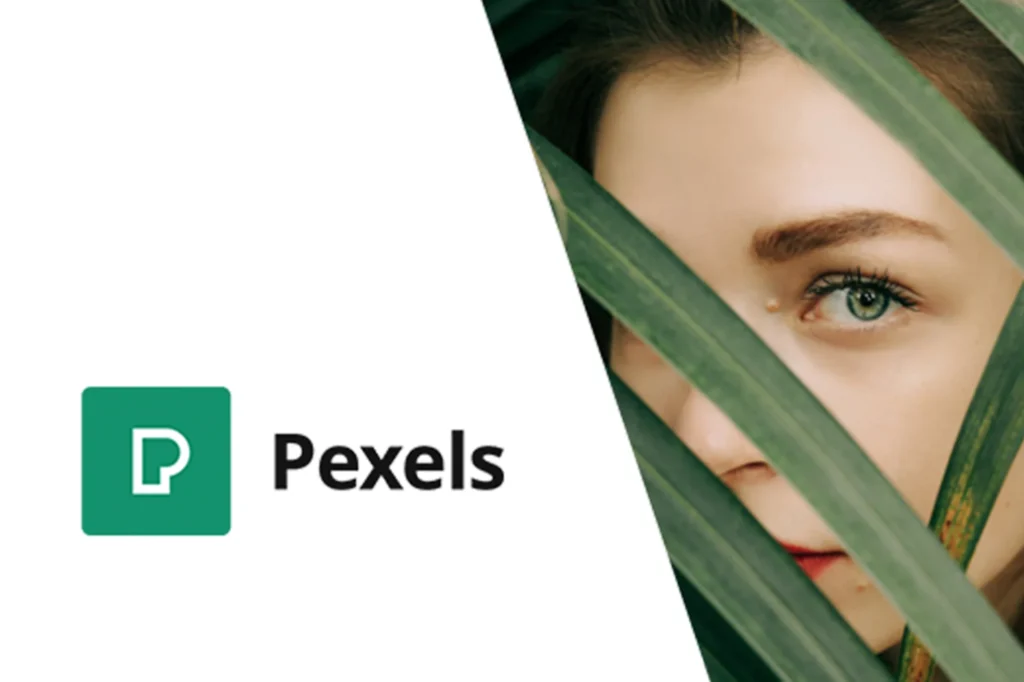 Pexels Import Free Stock Images into WordPress
