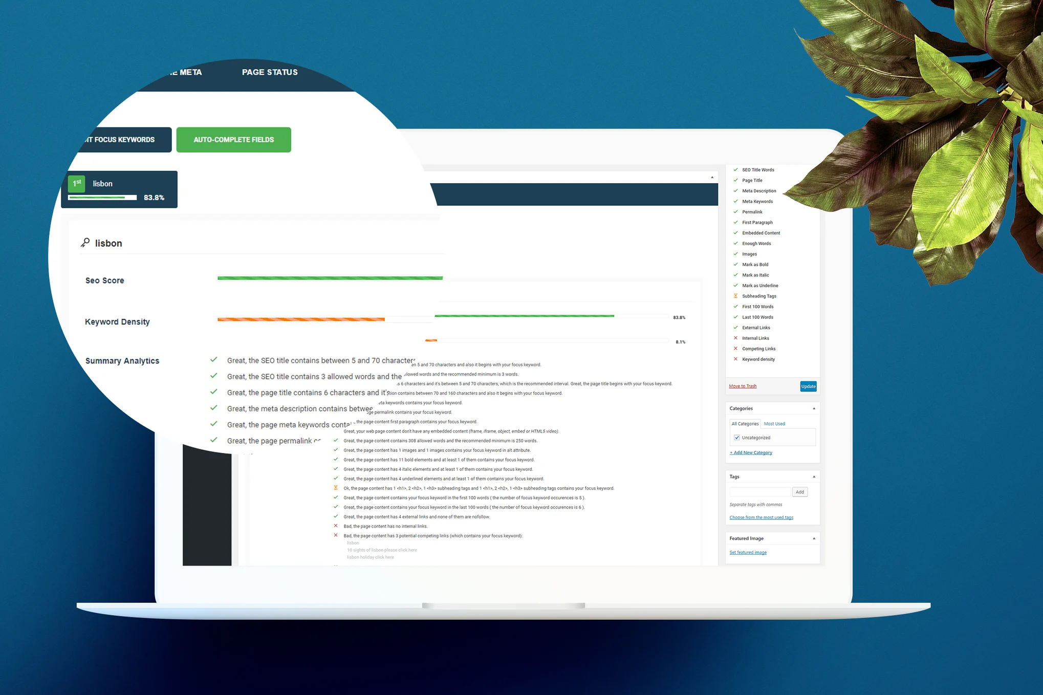 smart SEO Wordpress Plugin